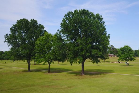 95 CR 2100, Daingerfield, TX 75638